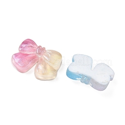Transparent Resin Cabochons&nbsp;RESI-F056-02