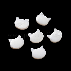 Natural Freshwater Shell Beads&nbsp;SHEL-H003-04