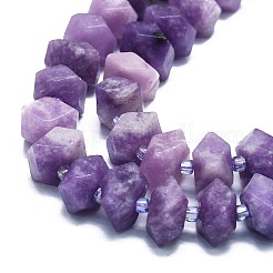 Natural Lepidolite/Purple Mica Stone Beads Strands&nbsp;G-K245-G02-04