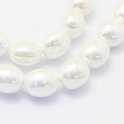 Shell Pearl Beads Strands&nbsp;BSHE-P024-15