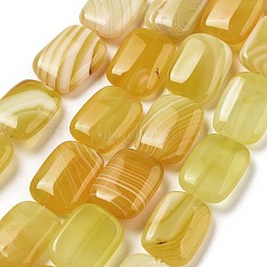 Natural Yellow Agate Beads Strands&nbsp;G-K392-B01-13x18mm