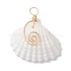 Natural Ark Shell Copper Wire Wrapped Pendants&nbsp;PALLOY-JF02678-01