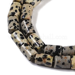 Natural Dalmatian Jasper Beads Strands&nbsp;G-C128-A18-01