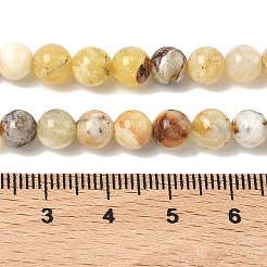 Natural Yellow Opal Beads Strands&nbsp;G-I213-18-6mm
