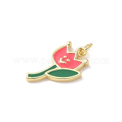 Brass Enamel Pendants&nbsp;KK-L239-052A-G