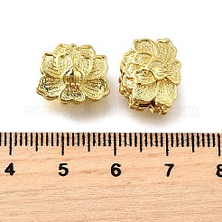 Brass Beads&nbsp;KK-XCP0001-96G