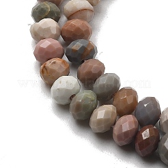 Natural Alashan Agate Beads Strands&nbsp;X-G-C127-B01-01
