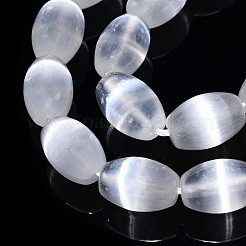 Dyed Natural Selenite Beads Strands&nbsp;G-T138-233A