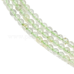 Natural Prehnite Beads Strands&nbsp;G-C255-B03-2mm