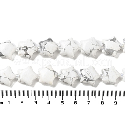 Natural Howlite Beads Strands&nbsp;G-NH0005-006