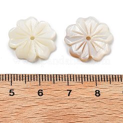 Natural Freshwater Shell Beads&nbsp;SHEL-Z002-02