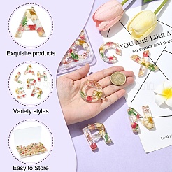 26Pcs 26 Styles Transparent Epoxy Resin Pendants&nbsp;CRES-YW0002-28D