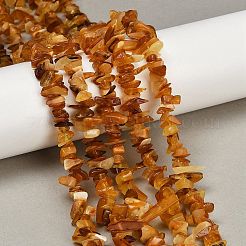 Natural Amber Chip Beads Strands&nbsp;X-G-E271-81-01
