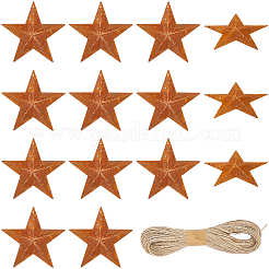 Star Rust Iron Big Pendants&nbsp;IFIN-GF0001-09C