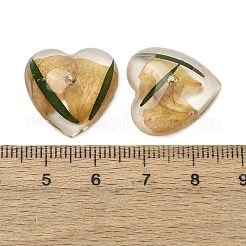 Transparent Resin Cabochons&nbsp;RESI-K033-10
