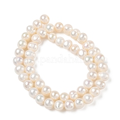 Natural Cultured Freshwater Pearl Beads Strands&nbsp;PA-CBAC463-02