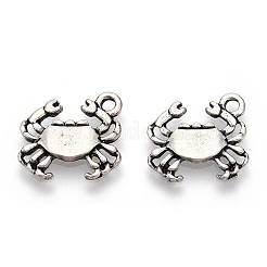 Tibetan Style Alloy Pendants&nbsp;PALLOY-T075-186AS