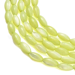 Natural Freshwater Shell Beads Strands&nbsp;X-SHEL-C010-01D