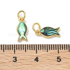 Natural Paua Shell Fish Charms&nbsp;X-KK-F926-04A