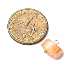 Dyed Natural Trochid Shell/Trochus Shell Pendants&nbsp;PALLOY-JF04483-01