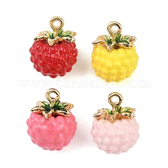 Alloy Enamel Charms&nbsp;FIND-G101-03G-01