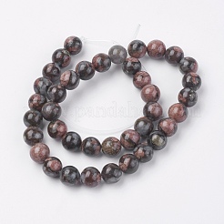 Natural Glaucophane Beads Strands&nbsp;G-F560-10mm-C01