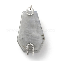 Natural Labradorite Pendants&nbsp;G-G870-09P-01