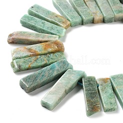 Natural Amazonite Beads Strands&nbsp;G-L551B-11