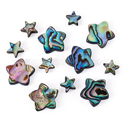 12Pcs 2 Styles Natural Abalone Shell/Paua Shell Beads&nbsp;SHEL-TA0001-40