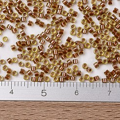 MIYUKI Delica Beads&nbsp;SEED-J020-DB1703