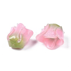 Plastic Beads&nbsp;X-KY-N015-037F