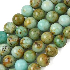 Natural African Turquoise(Jasper) Beads Strands&nbsp;GG-CBA6BAC-A01-10mm