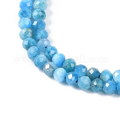 Natural Apatite Beads Strands&nbsp;X-G-P542-A06-02