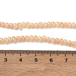 Natural Cultured Freshwater Pearl Beads Strands&nbsp;PA-CBAC463-30