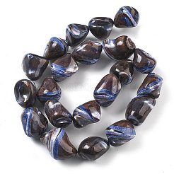 Dyed Natural Trochus Shell Beads Strands&nbsp;BSHE-Z006-02B