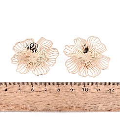 Brass Bead Caps&nbsp;KK-N278-05KCG