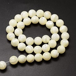 Natural Sea Shell Beads Strands&nbsp;SSHEL-K013-10mm-A