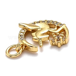 Brass Micro Pave Cubic Zirconia Pendants&nbsp;ZIRC-O039-07G