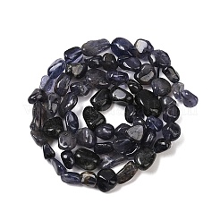 Natural Iolite/Cordierite/Dichroite Beads Strands&nbsp;G-A284-A02-01