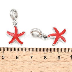 Alloy Enamel European Dangle Charms&nbsp;AL-CBAC2D3-02P-01
