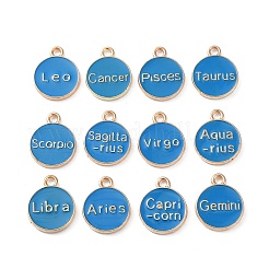 Alloy Enamel Pendants&nbsp;ENAM-S124-01B-02