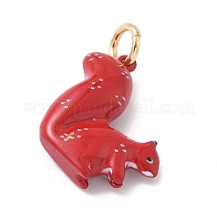 Spray Paint 304 Stainless Steel Pendants&nbsp;STAS-H254-04G-18