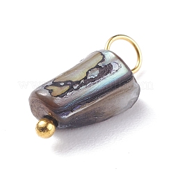 Natural Dyed Shell Charms&nbsp;PALLOY-JF01339-04
