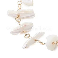 Natural Trochid Shell Beads Anklets&nbsp;AJEW-AN00618
