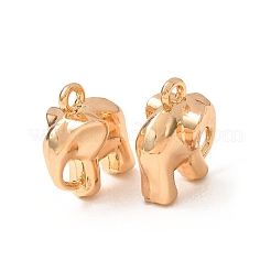 Alloy Charms&nbsp;AL-CBA3036-05G