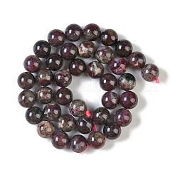 Natural Plum Blossom Tourmaline Beads Strands&nbsp;G-K364-B01-03