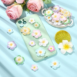 60Pcs 2 Styles Plumeria Flower Opaque Resin Cabochons&nbsp;CRES-YW0002-60