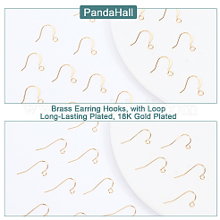 100Pcs 2 Style Brass Earring Hooks&nbsp;KK-PH0003-64