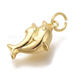 Rack Plating Brass Pendants&nbsp;KK-I720-69G