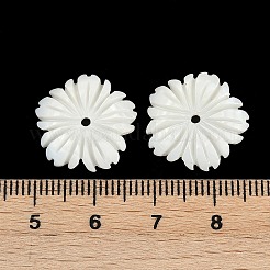 Natural Freshwater Shell Pendants&nbsp;SHEL-K006-43